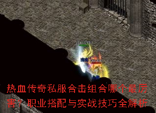 热血传奇私服合击组合哪个最厉害?职业搭配与实战技巧全解析 热血传奇私服合击组合哪个最厉害?职业搭配与实战技巧全解析