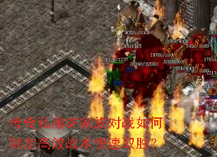 传奇私服SF家族对战如何制定高效战术快速取胜? 传奇私服SF家族对战如何制定高效战术快速取胜?