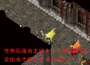����˽���ϻ��汾����δ���ְҵ��ϲ��ܿ���ͨ��BOSS��