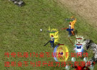 传奇私服176金币版新手如何快速刷金币与提升战力技巧有哪些? 传奇私服176金币版新手如何快速刷金币与提升战力技巧有哪些?