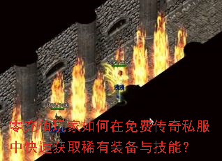 ���ֵ����������Ѵ���˽���п��ٻ�ȡϡ��װ���뼼�ܣ�