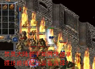 禁灵大陆新手如何快速掌握技能搭配与装备选择? 禁灵大陆新手如何快速掌握技能搭配与装备选择?