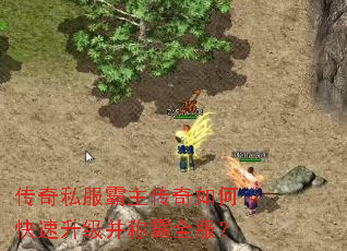 ����˽������������ο����������ư�ȫ����