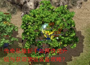 ����˽��������ο����������ȡ����װ�����ԣ�