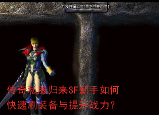 ����˽������SF������ο���ˢװ��������ս����