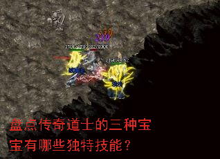 盘点传奇道士的三种宝宝有哪些独特技能? 盘点传奇道士的三种宝宝有哪些独特技能?