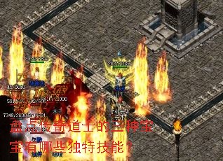 盘点传奇道士的三种宝宝有哪些独特技能? 盘点传奇道士的三种宝宝有哪些独特技能?