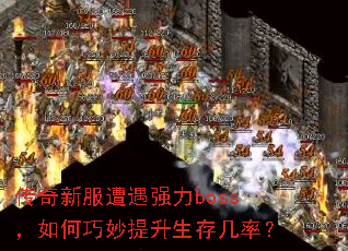 �����·�����ǿ��boss����������������漸�ʣ�