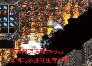 �����·�����ǿ��boss����������������漸�ʣ�