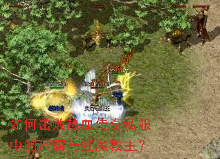 如何击败热血传奇私服中的尸霸与虹魔教主? 如何击败热血传奇私服中的尸霸与虹魔教主?