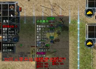 ��δ��㿪ʼ�����ʿְҵ��