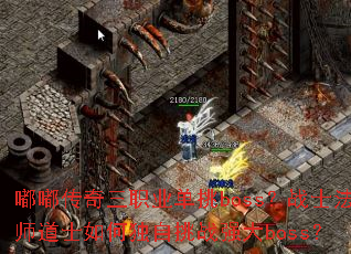 �ུ�����ְҵ����boss��սʿ��ʦ��ʿ��ζ�����սǿ��boss��