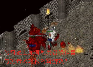 �����ʿ��������ٻ�������ʩ���������ư���Ϸ��