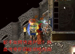 ������ο�����������Ѫ���滳�ɰ湥��ָ��