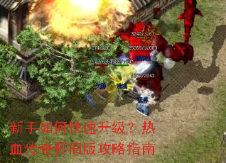 ������ο�����������Ѫ���滳�ɰ湥��ָ��