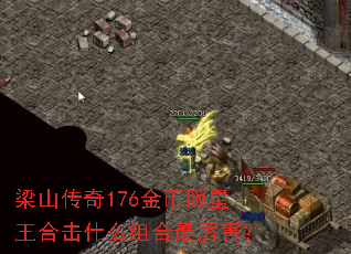 ��ɽ����176��Ұ������ϻ�ʲô�����������