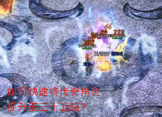 ��ο��ٽ������ɫ��������ʮ�弶��