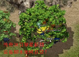 ����3K�������¶�װ���ű���λ�ȡ��