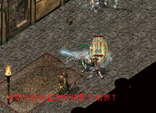 ��������������δ�����������