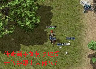 ����������ο��������ȼ����ϴ󲿶ӣ�