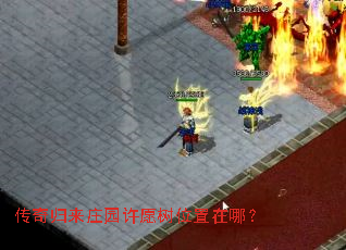 �������ׯ԰��Ը��λ�����ģ�