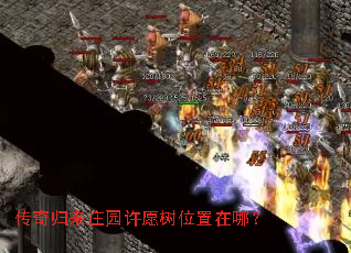 �������ׯ԰��Ը��λ�����ģ�