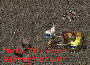 ��γ�Ϊ�ڰ���½��Ա����ȡר��������Ϸ���ԣ�