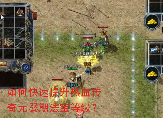 ��ο���������Ѫ����ԪӤ�ڷ����ȼ���