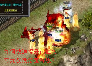 ��ο���������Ѫ����ԪӤ�ڷ����ȼ���