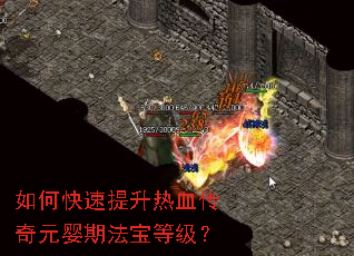 ��ο���������Ѫ����ԪӤ�ڷ����ȼ���