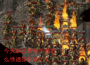 �����¿�����������ô��������ս����