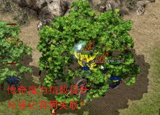 ����ħ��ָ��������ǿ���кι�����