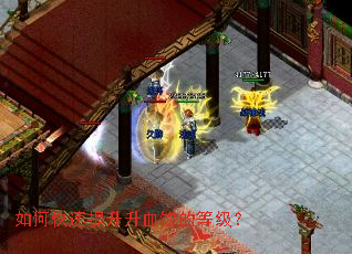 ��ο���������Ѫ���ĵȼ���