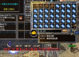 �������MaxM2Ӣ���Զ���ҩDB��