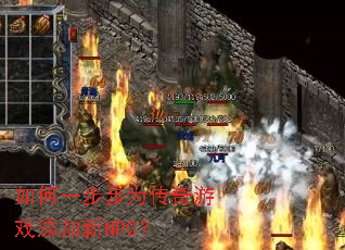 ���һ����Ϊ������Ϸ������NPC��