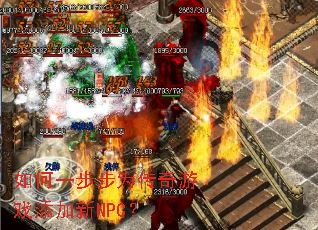 ���һ����Ϊ������Ϸ������NPC��