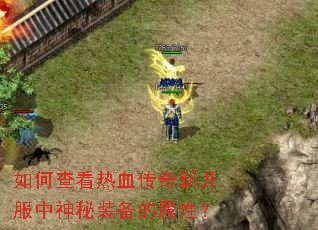 如何查看热血传奇新开服中神秘装备的属性? 如何查看热血传奇新开服中神秘装备的属性?