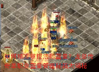 如何精准掌控法师蓝量?龙皇传奇单职业蓝量管理秘籍大揭秘 如何精准掌控法师蓝量?龙皇传奇单职业蓝量管理秘籍大揭秘