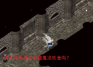 道士技能可以躲避魔法攻击吗? 道士技能可以躲避魔法攻击吗?