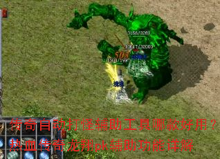 �����Զ���ָ��������Ŀ���ã���Ѫ��������pk�����������