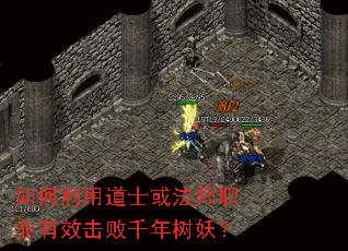 ������õ�ʿ��ʦְҵ��Ч����ǧ��������