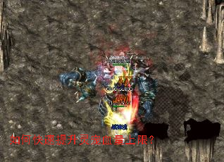 如何快速提升灵宠血量上限? 如何快速提升灵宠血量上限?