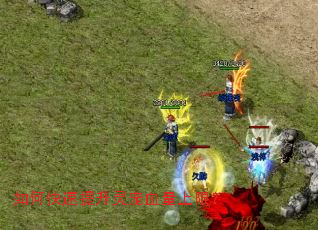 如何快速提升灵宠血量上限? 如何快速提升灵宠血量上限?