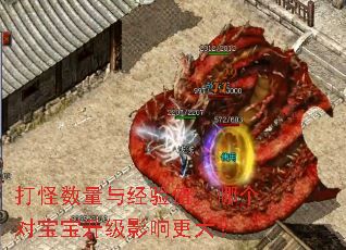 打怪数量与经验值,哪个对宝宝升级影响更大? 打怪数量与经验值,哪个对宝宝升级影响更大?