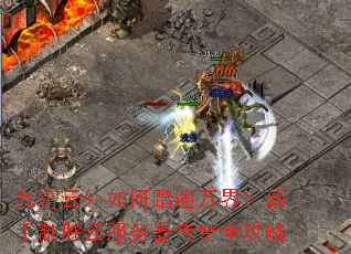 �����������̤����磿������ʤ�Ʒ���������ȫ����