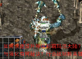 ��ο��������ȼ��ư��귨��½��װ����ȡ��ǿ���к��ؾ����л�ս��ʤ�ؼ���ʲô��