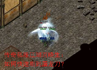 ����˽����������������ο���ˢ����������