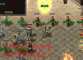 ����˽����������������ο���ˢ����������