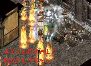 �������ο������ֳ�����Ѫ����˽����