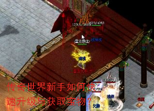 ��������������ο����������ȡ���